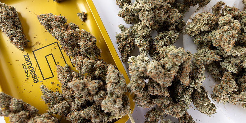 Erhöht den Ertrag bei gleichbleibender Anbaufläche