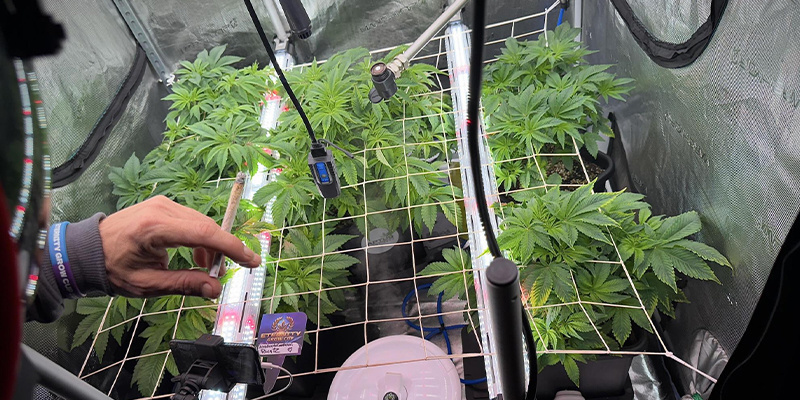 Richtlinien für die Positionierung der Lampen