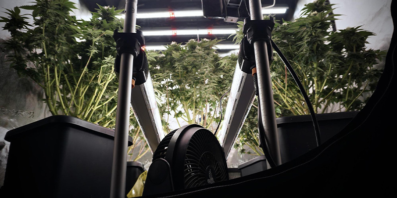 Umweltbedingungen optimieren