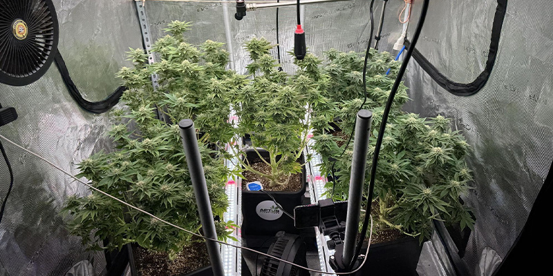 Potenzielle Herausforderungen beim Wärmemanagement