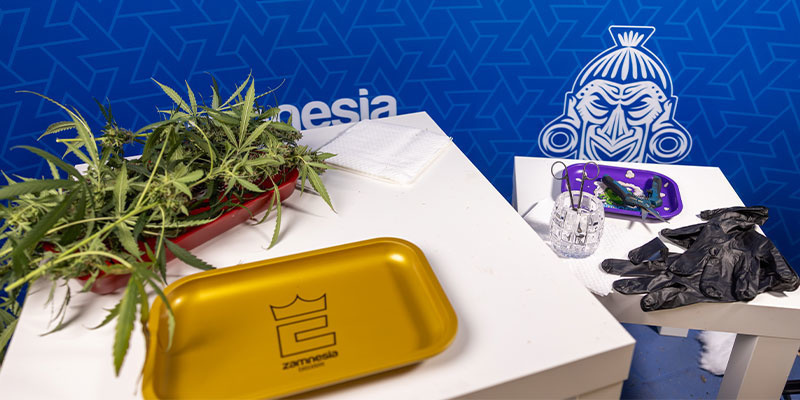 1. Trimm-Tools und Arbeitsbereich vorbereiten