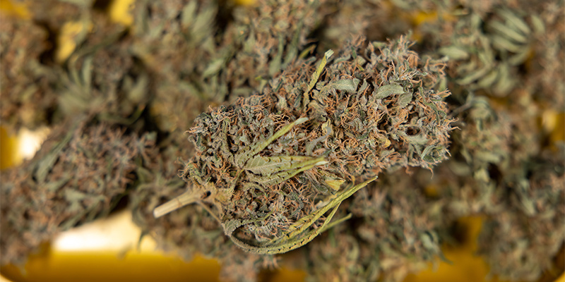 5. Finaler Trocken-Check vor dem Aushärten (nur beim Trockentrimmen)