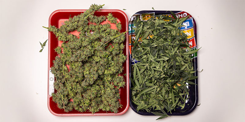 4. Verschnitt sammeln und lagern