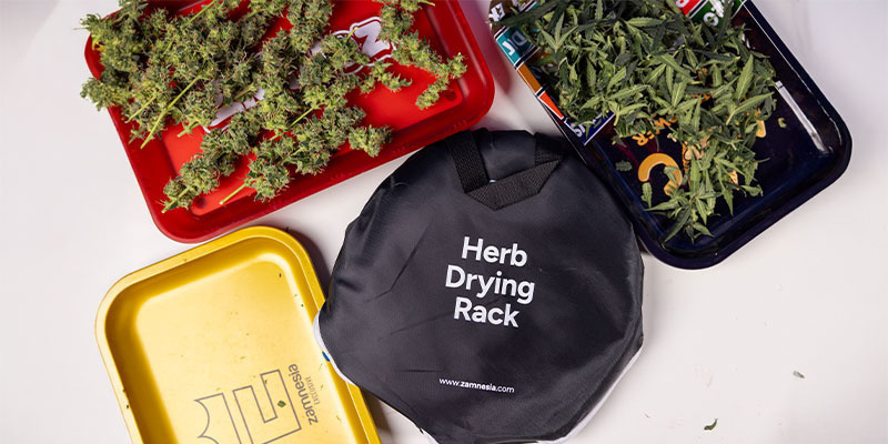 Warum das Trimmen von Cannabis wichtig ist