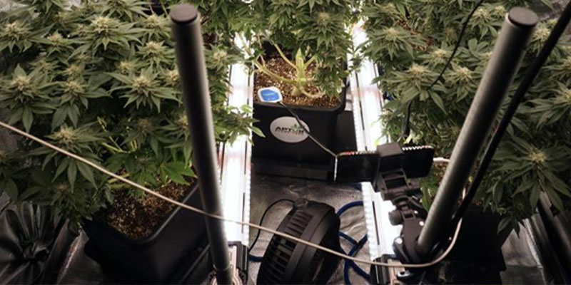 LED-Lichtleisten (empfohlen)