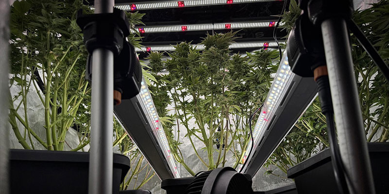 Schritt 1: Planung der Positionierung deiner Undercanopy-Beleuchtung