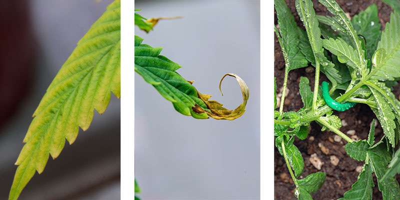 Schritt 3: Überwachen und anpassen