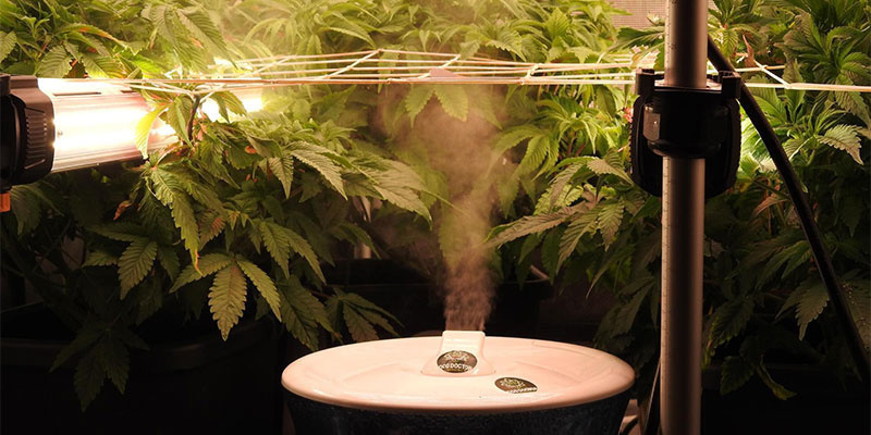 Schritt 4: Undercanopy Lighting hinsichtlich anderer Wachstumsfaktoren anpassen