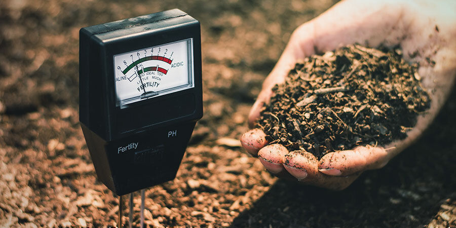 Andere Beim Gießen Von Cannabis Zu Beachtende Variablen Andere beim Gießen von Cannabis zu beachtende Variablen