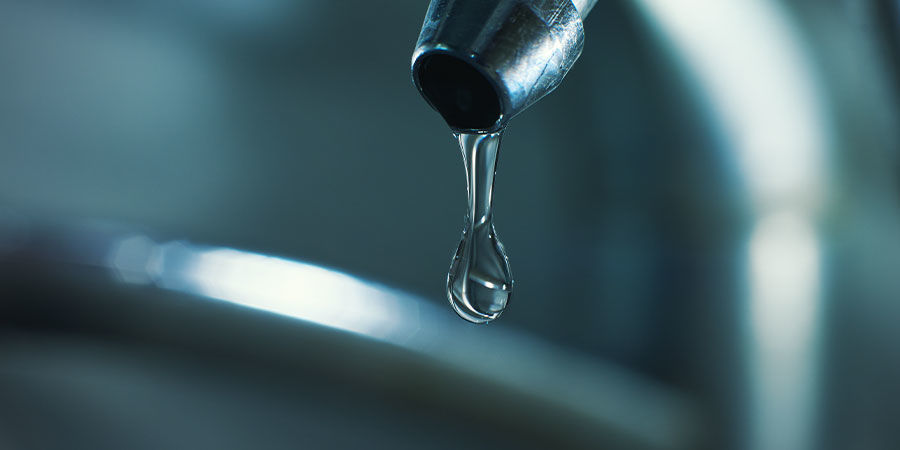 Was Ist Das Beste Wasser Für Cannabis? Was ist das beste Wasser für Cannabis?