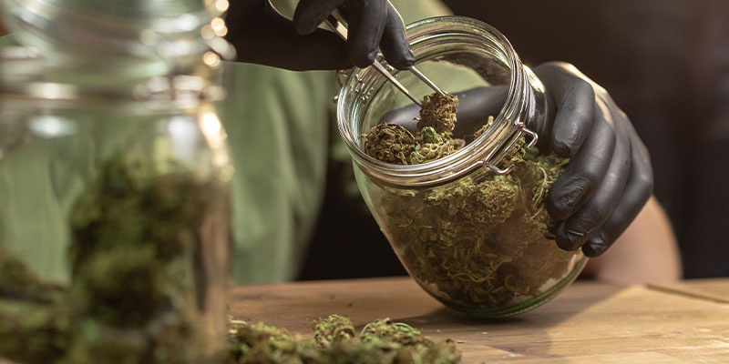 Trocknung und Lagerung nach einem Mehltaubefall