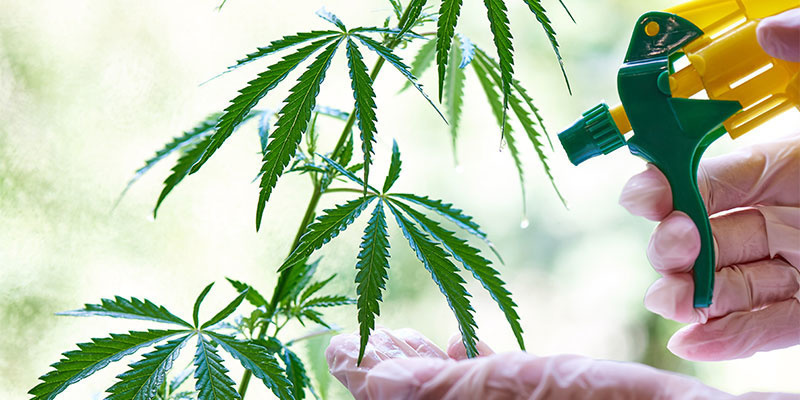 Reinigung und Vorbeugung