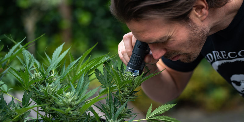 Wie geht man gegen weiße Flecken vor?