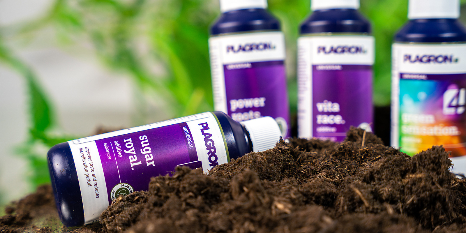 Passe deinen Düngeplan an