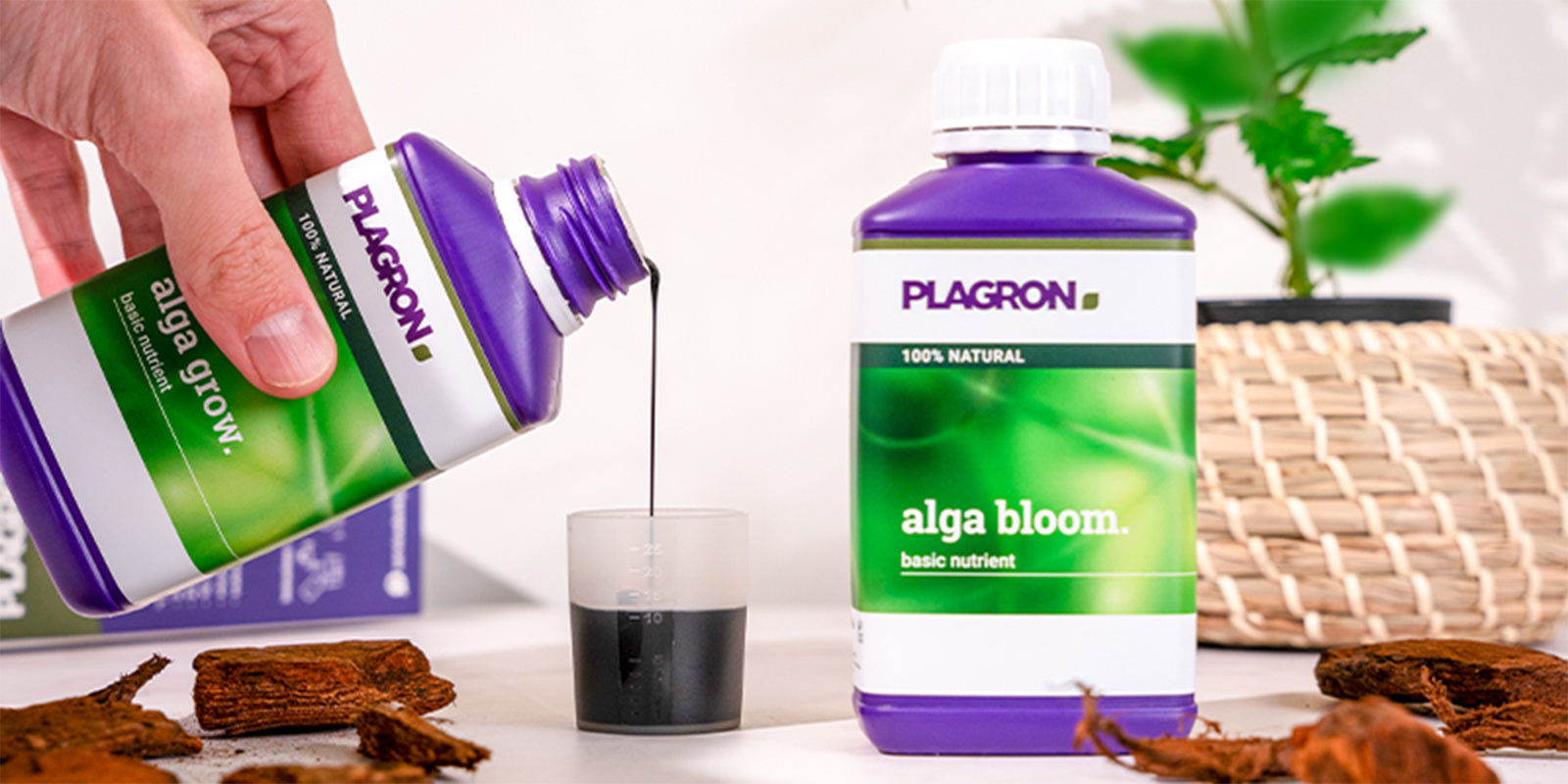 Nährstoffbrand vorbeugen