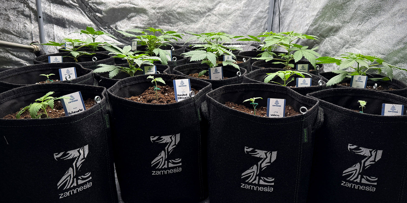 Nutze kleinere T&ouml;pfe (4&ndash;6 l)