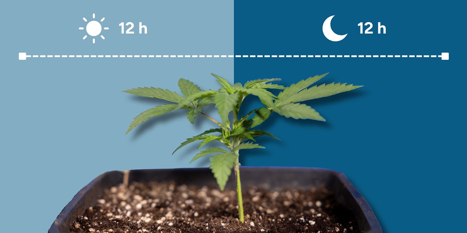 Was ist 12/12? Was ist 12/12?