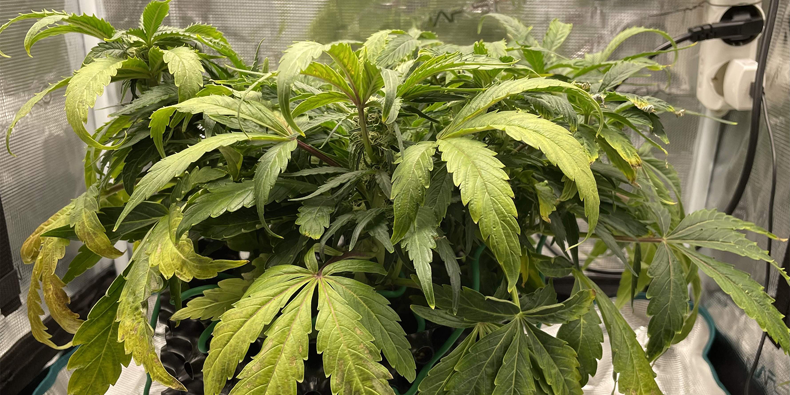 Was passiert, wenn du es nicht behebst? Was passiert, wenn du es nicht behebst?