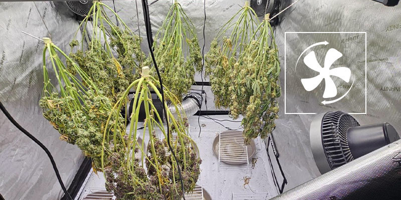 Hilfsmittel für eine ideale Trocknungsumgebung