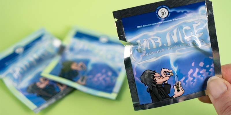 Verpackung Von Mr. Nice Verpackung Von Mr. Nice