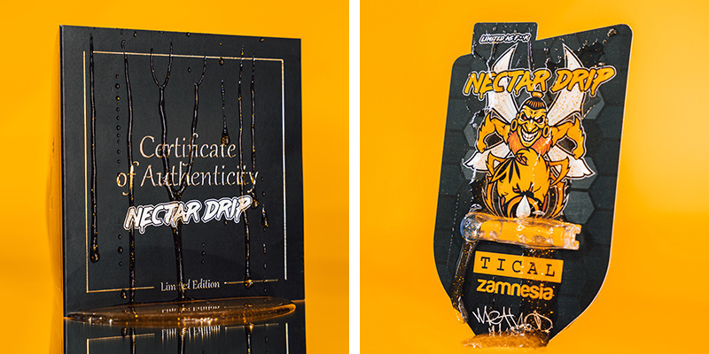 Nectar Drip anbauen: Kurzer Lebenszyklus