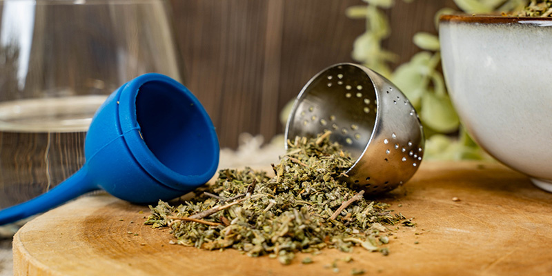 Damiana | Turnera afrodisiaca Damiana | Turnera afrodisiaca