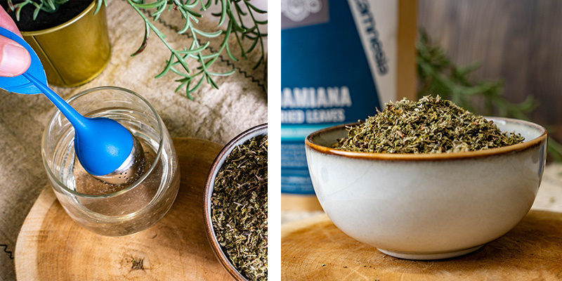 Damiana | Turnera afrodisiaca Damiana | Turnera afrodisiaca