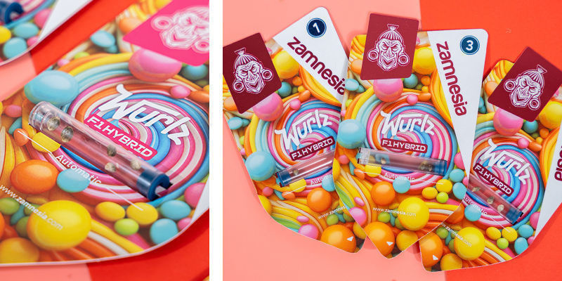 Wurlz F1 Automatic (Zamnesia Seeds) Feminisiert