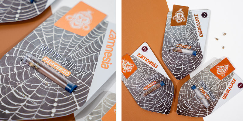 White Widow F1 Automatic (Zamnesia Seeds) Feminisiert White Widow F1 Automatic (Zamnesia Seeds) Feminisiert