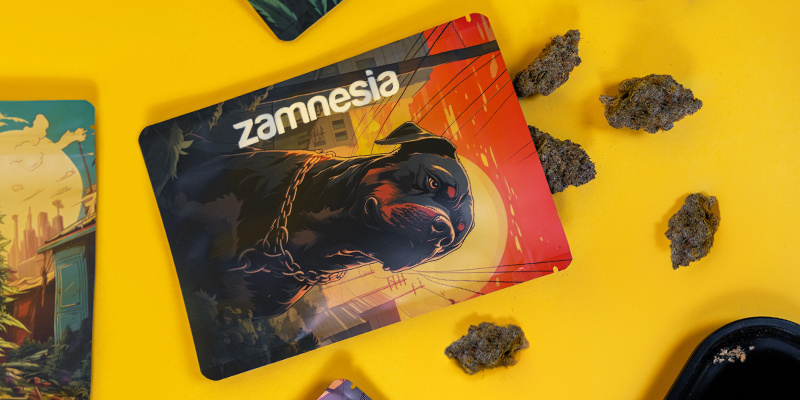 Saint Andreas Z-Lock Vorratsbeutel (Groß) Saint Andreas Z-Lock Vorratsbeutel (Groß)