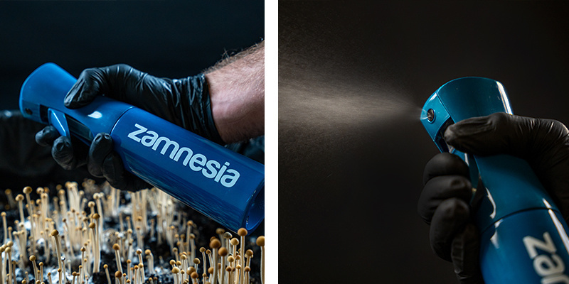 Ultrafeine Sprühflasche (Zamnesia) Ultrafeine Sprühflasche (Zamnesia)