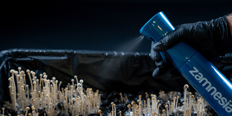 Ultrafeine Sprühflasche (Zamnesia) Ultrafeine Sprühflasche (Zamnesia)