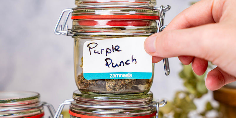 Klebeetiketten (Zamnesia) 50pcs Klebeetiketten (Zamnesia) 50pcs