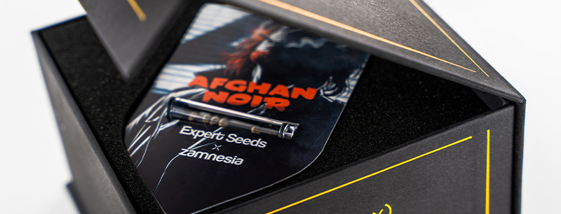 Genetik von Afghan Noir: Afghani x Sirius Black
