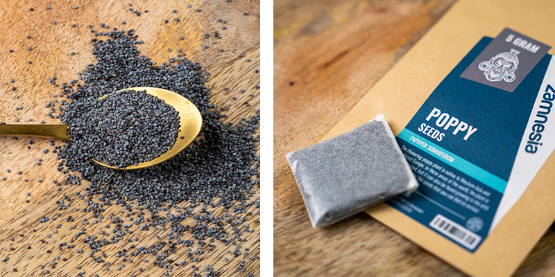 Schlafmohn (Papaver Somniferum) Samen Schlafmohn (Papaver Somniferum) Samen