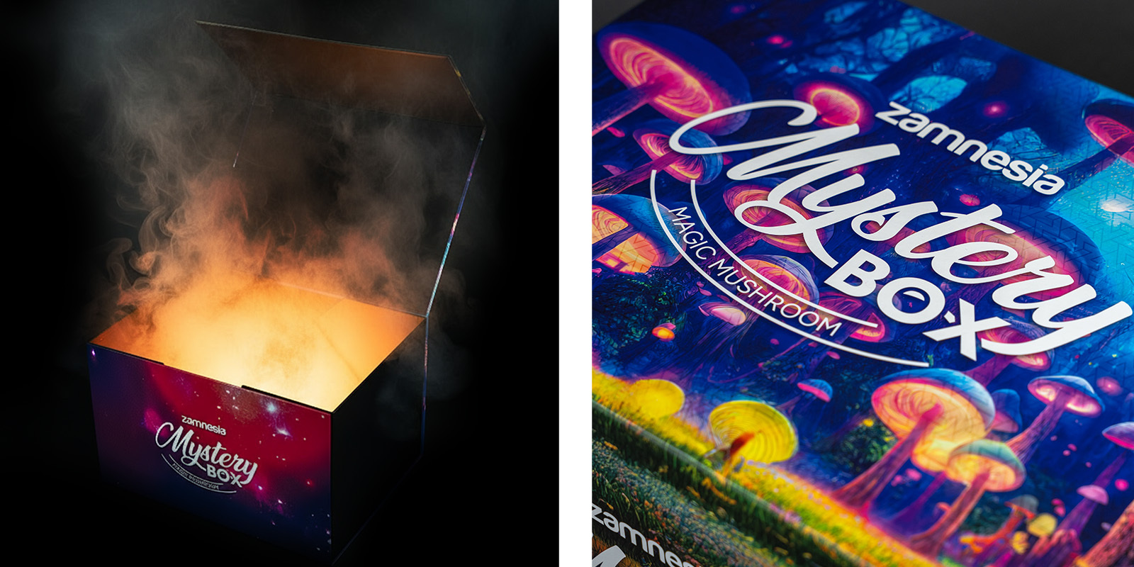 Magic Mushroom Mystery Box: die ultimative Zamnesia-Erfahrung Magic Mushroom Mystery Box: die ultimative Zamnesia-Erfahrung