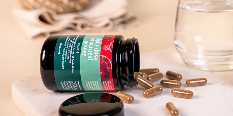 Power 5 Pilzkapseln (Foodsporen) Power 5 Pilzkapseln (Foodsporen)