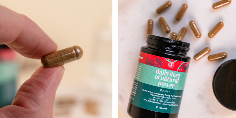 Power 5 Pilzkapseln (Foodsporen) Power 5 Pilzkapseln (Foodsporen)