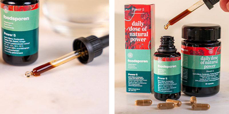 Power 5 Pilz-Tinktur (Foodsporen) Power 5 Pilz-Tinktur (Foodsporen)