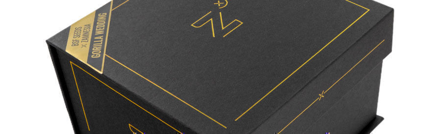 BSF Seeds x Zamnesia Seeds: Gorilla Wedding BSF Seeds x Zamnesia Seeds: Gorilla Wedding