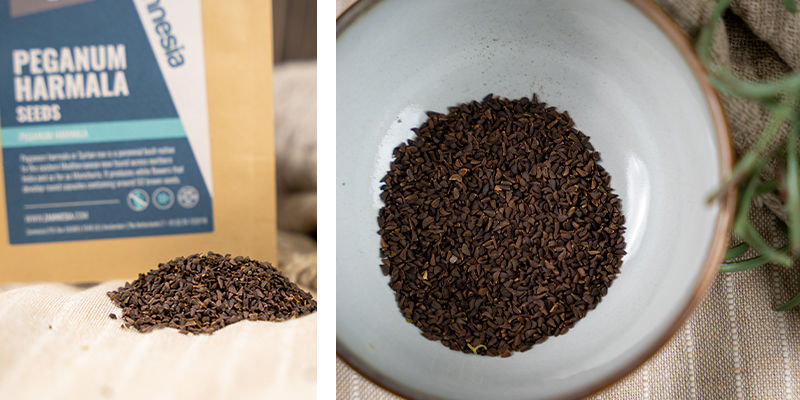 Peganum Harmala (10 gramm) Peganum Harmala (10 gramm)