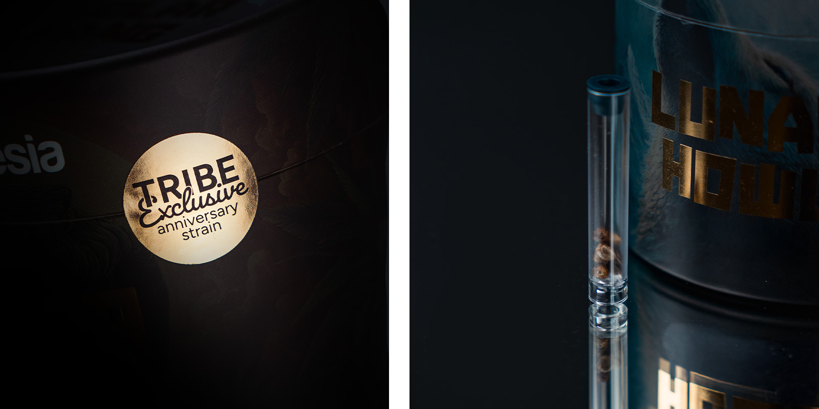 Aromen, Geschmack und Wirkung von Lunar Howl: Eine würzige, benzinartige und süße Köstlichkeit