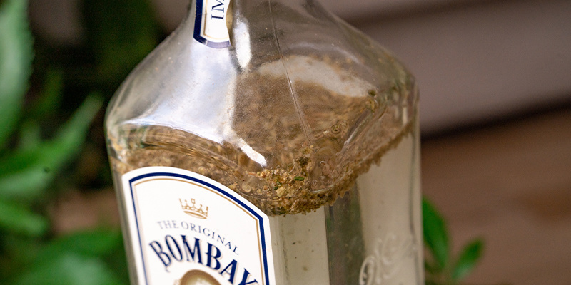 Gib Das Zerkleinerte Pflanzenmaterial Nun In Deine Flasche Gin