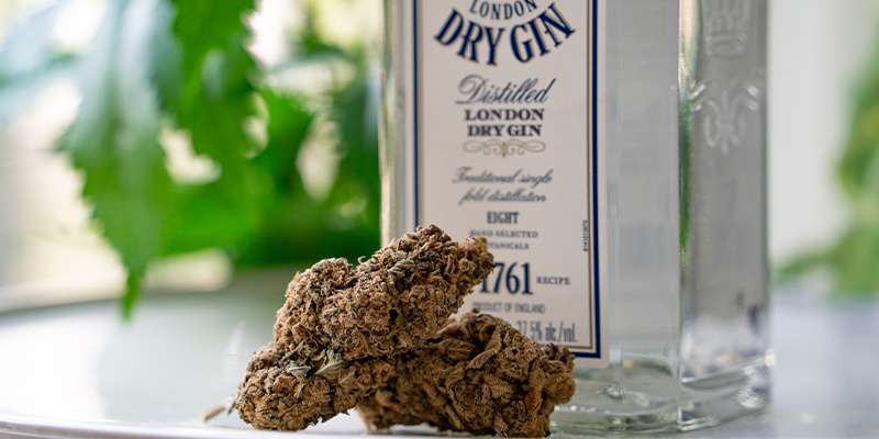 Wie Man Den Gin Infundiert