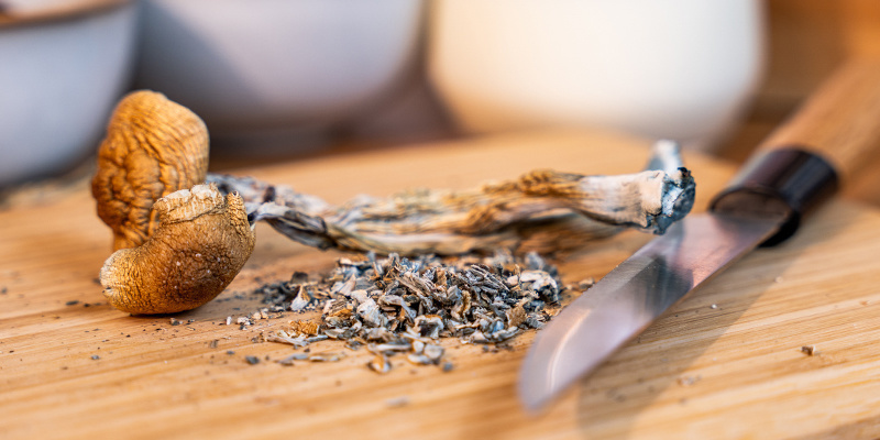 Schneide die Pilze Deiner Wahl in kleine Stücke.