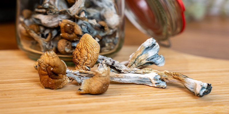 Wie man heiße Schokolade mit Pilzen macht