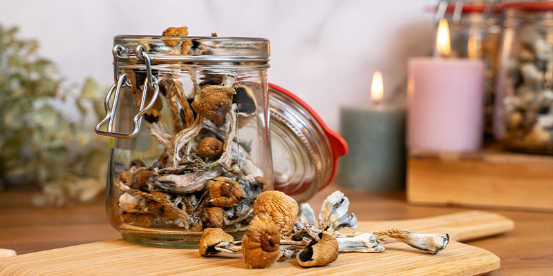 Die Auswahl der richtigen Pilze für heiße Schokolade