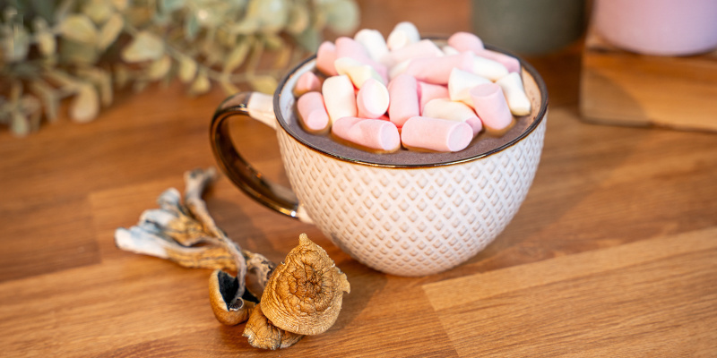 Was ist Pilzschokolade?