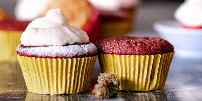 Rezept Für Schokoladen Cannabis Cupcakes Rezept für Schokoladen Cannabis Cupcakes