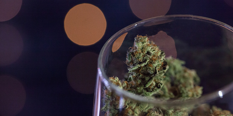 Wie Man Cannabis Zu Wein Braut